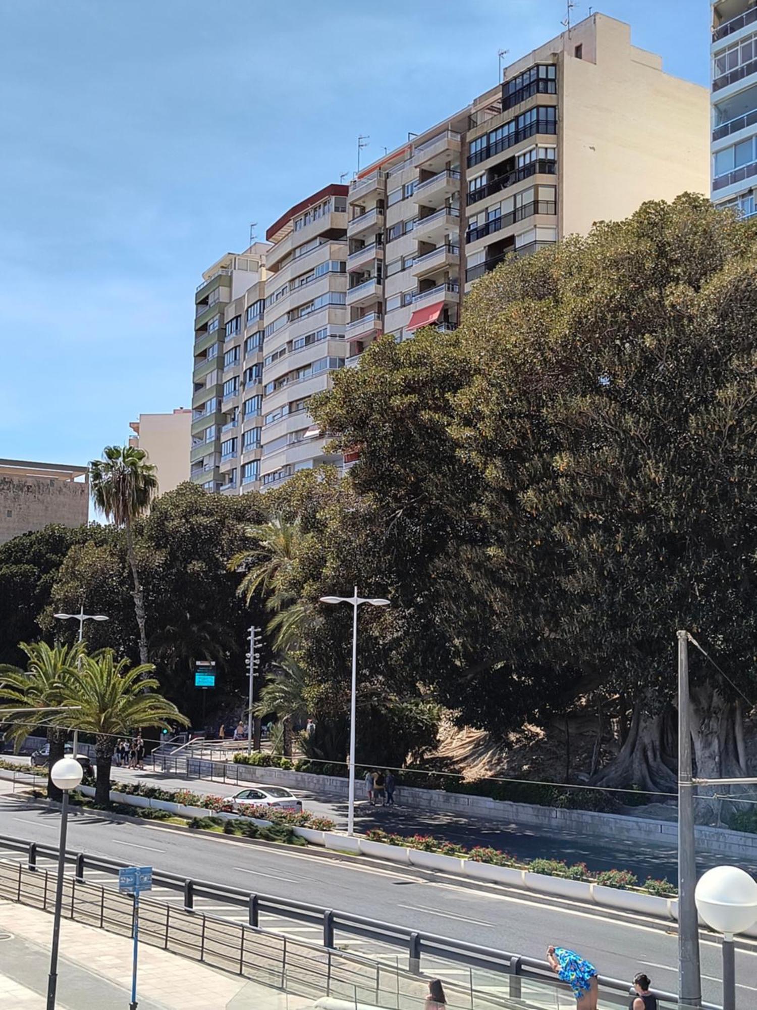 אליקאנטה Apartamento Playa מראה חיצוני תמונה